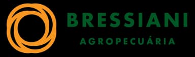 Logo Bressiani
